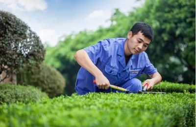 關于龍湖智慧服務,你所不知的藏于日常的極致細節服務