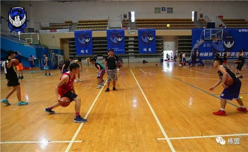 2018練盟全國籃球夏令營第一期 精彩相冊 抒寫故事 你的故事