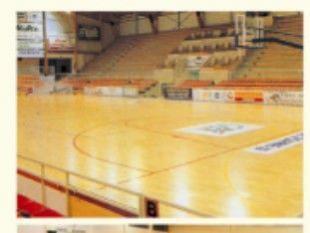 供應(yīng)PVC運(yùn)動(dòng)地板高檔籃球場(chǎng)運(yùn)動(dòng)地膠沈陽(yáng)弗蘭德廠家_建筑建材_世界工廠網(wǎng)中國(guó)產(chǎn)品信息庫(kù)