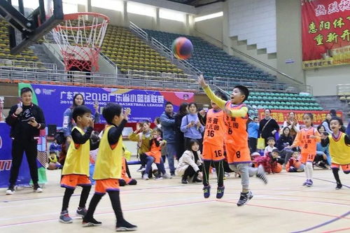 小籃球成就大夢想,廣東省小籃球聯賽 惠州賽區 圓滿落幕
