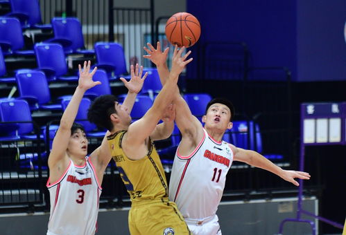 廣東東莞大益力克南京同曦宙光，CBA第二階段再添關(guān)鍵勝利