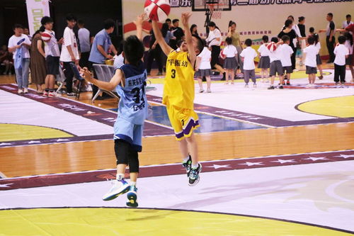 藍球熱浪席卷水城——聊城市第十四屆全民健身運動會幼兒籃球比賽圓滿落幕